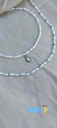 Collar de acero quirúrgico Mendoza - imagen 1