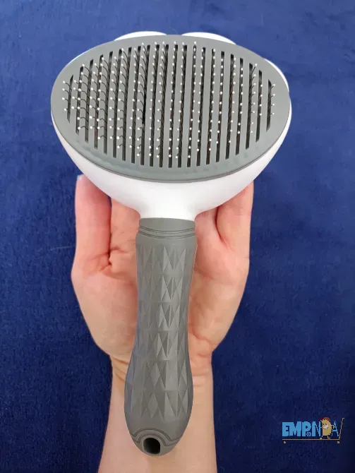 Cepillo Belgrano - imagen 1