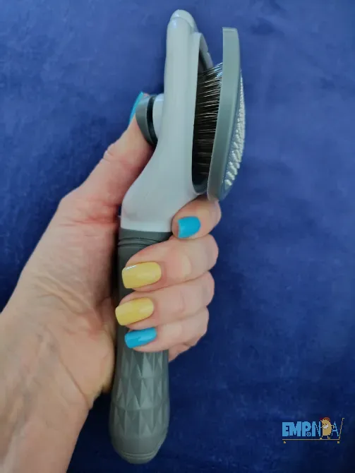 Cepillo Belgrano - imagen 3