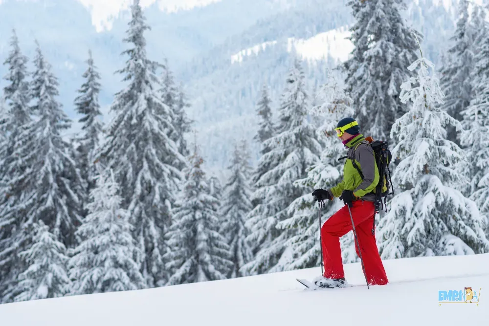 Paisaje Balvanera - imagen 1