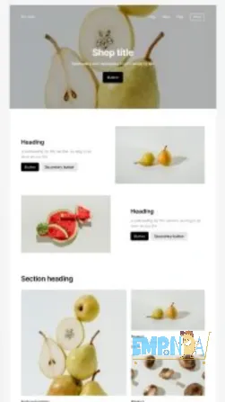 Diseño web - E-commerce Recoleta - imagen 2