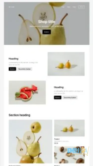 Diseño web - E-commerce Recoleta - imagen 2