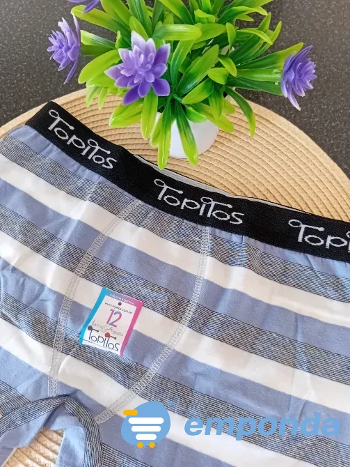 Boxer de niños Lanús - imagen 8