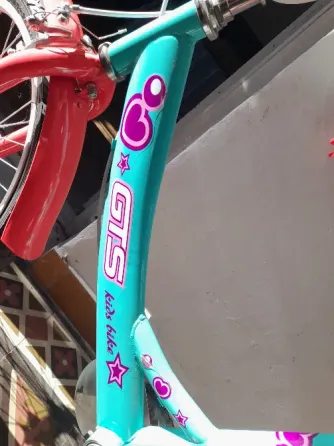 Bicicleta Gts Rodado 20 Villa del Parque