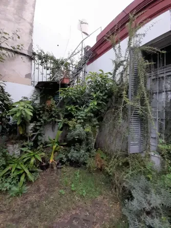Plantas de exterior y tierra Villa del Parque