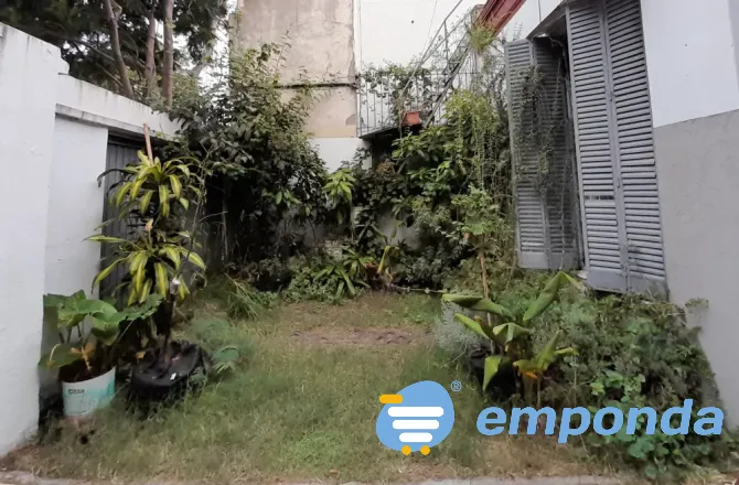 Plantas de exterior y tierra Villa del Parque - imagen 8