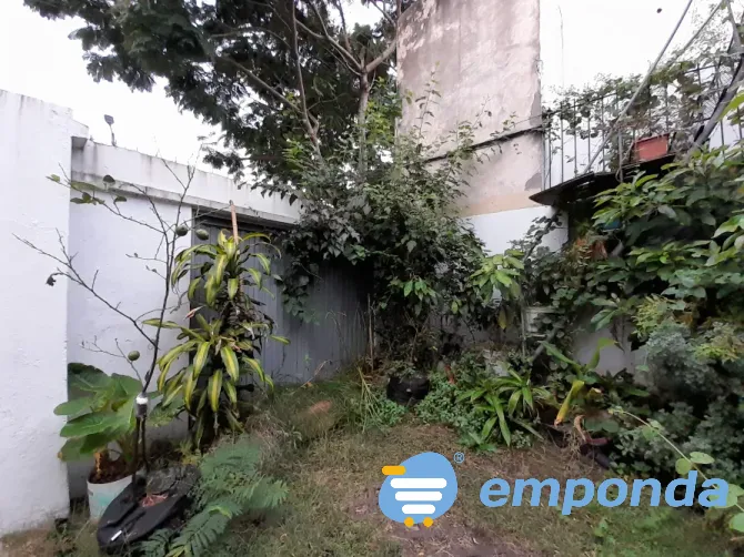 Plantas de exterior y tierra Villa del Parque - imagen 7