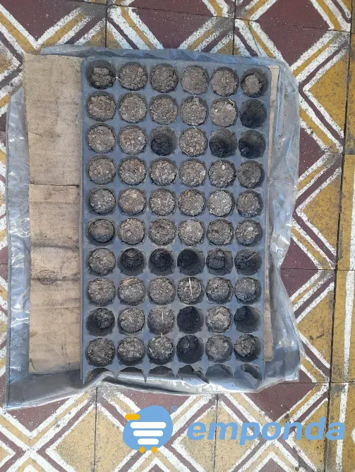 Plantas de exterior y tierra Villa del Parque - imagen 6