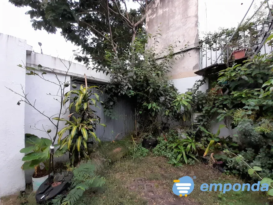 Plantas de exterior y tierra Villa del Parque - imagen 7