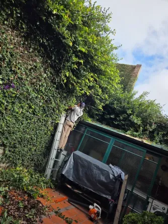 Servicios de paisajismo, jardinería, poda y sistemas de riego Villa Devoto