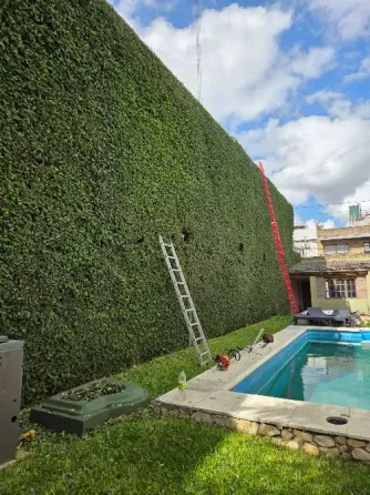 Servicios de paisajismo, jardinería, poda y sistemas de riego Villa Devoto