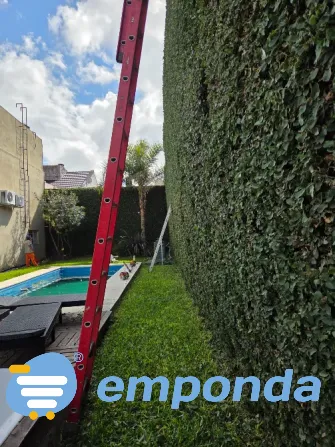 Landscaping, gardening, pruning and irrigation services. Villa Devoto - photo 4