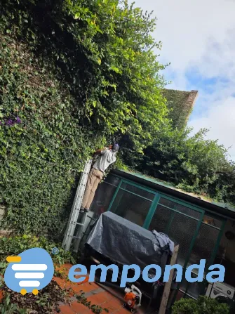 Landscaping, gardening, pruning and irrigation services. Villa Devoto - photo 2