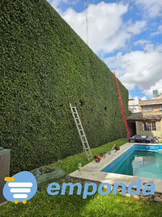 Landscaping, gardening, pruning and irrigation services. Villa Devoto - photo 1