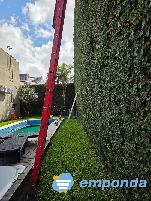 Servicios de paisajismo, jardinería, poda y sistemas de riego Villa Devoto - imagen 4