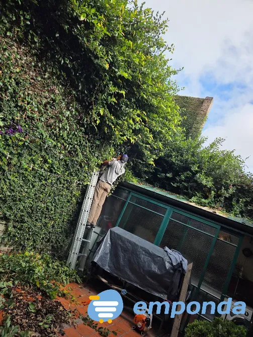 Servicios de paisajismo, jardinería, poda y sistemas de riego Villa Devoto - imagen 2