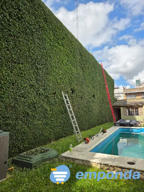 Servicios de paisajismo, jardinería, poda y sistemas de riego Villa Devoto - imagen 1