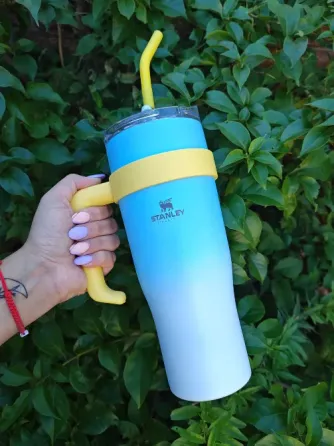 Vaso Stanley Lomas de Zamora