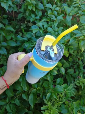Vaso Stanley Lomas de Zamora