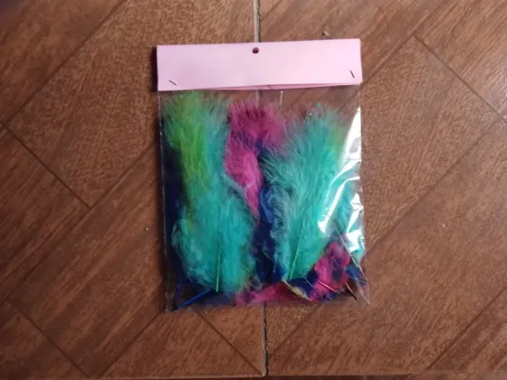 Plumas para souvenirs Avellaneda