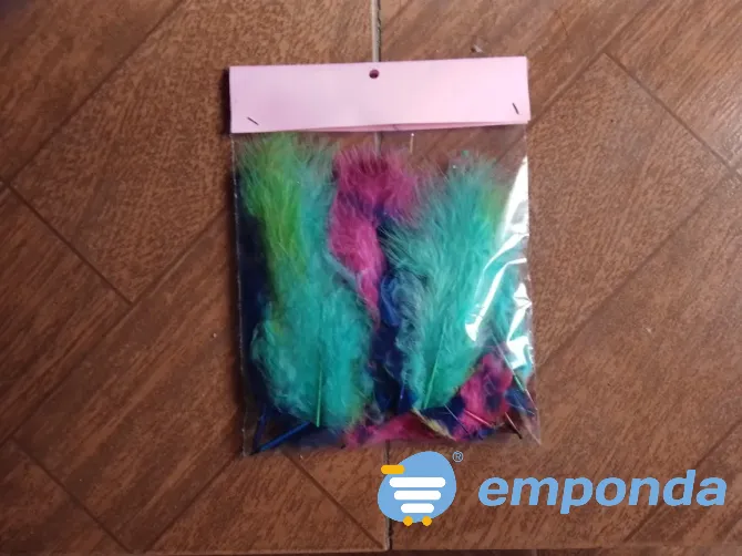 Plumas para souvenirs Avellaneda - imagen 1