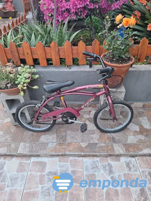 Bicicleta niño Avellaneda - imagen 1