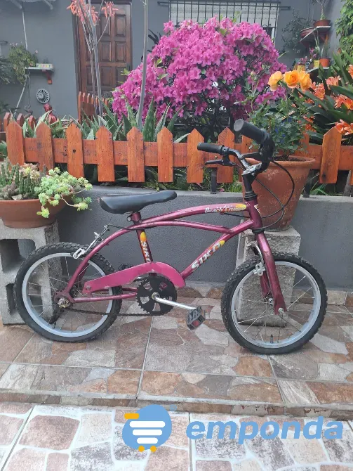 Bicicleta niño Avellaneda - imagen 2
