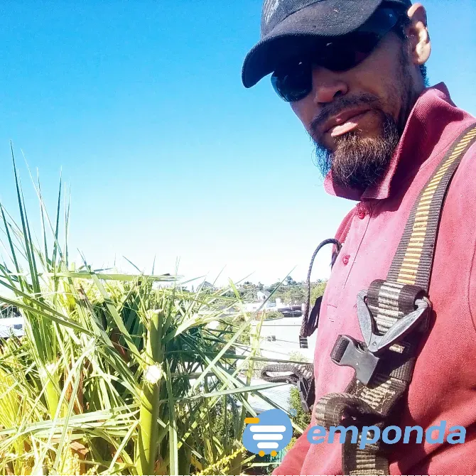 HIGH ALTITUDE TREE PRUNING Merlo - photo 2