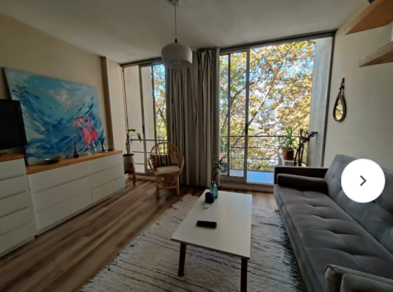Venta mono en Palermo Palermo