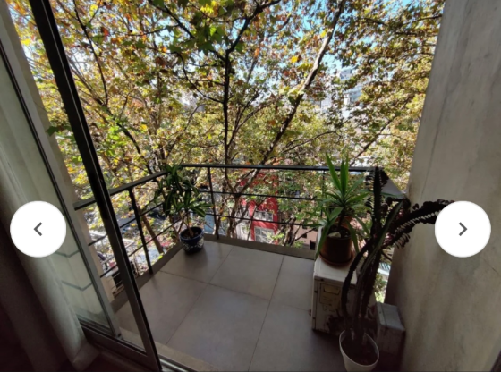 Venta mono en Palermo Palermo