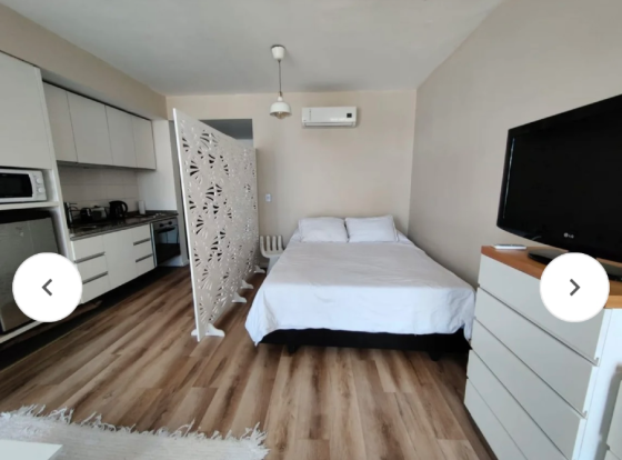 Venta mono en Palermo Palermo