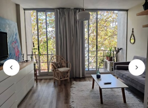 Venta mono en Palermo Palermo