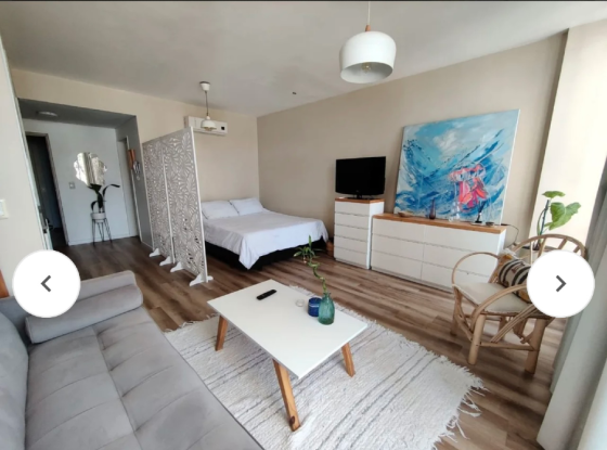 Venta mono en Palermo Palermo