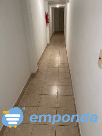 Venta mono en San Cristóbal San Cristóbal - imagen 4