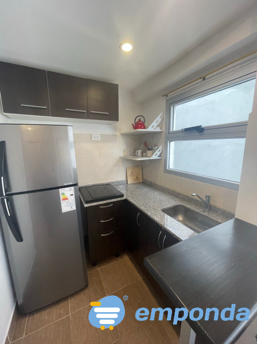 Venta mono en San Cristóbal San Cristóbal - imagen 8