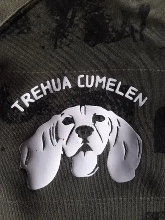 Entrenador canino Mar del Plata