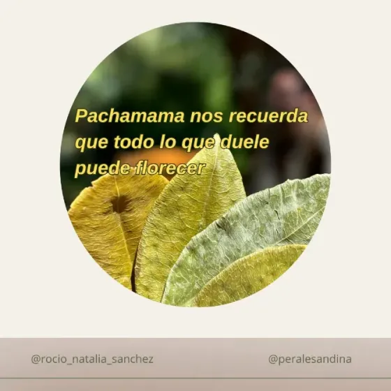 Curso de Formacion heridas de Infancia Córdoba