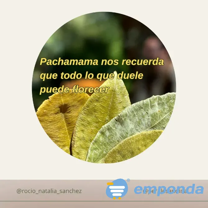 Curso de Formacion heridas de Infancia Córdoba - imagen 3