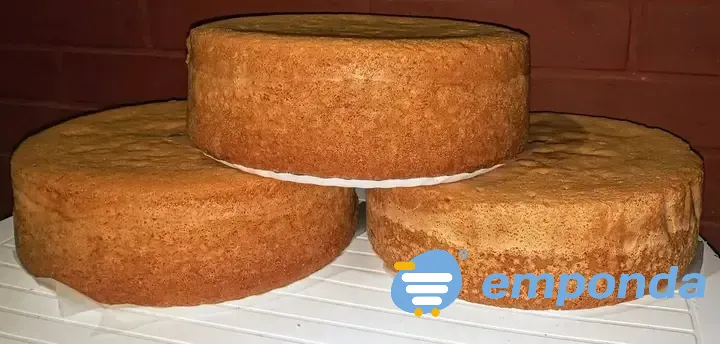 Bizcochuelo Malvinas Argentinas - imagen 3