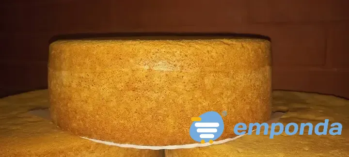 Bizcochuelo Malvinas Argentinas - imagen 2