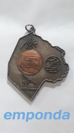 Medalla Almagro - imagen 1