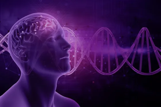 Hipnosis - Psicologia Transpersonal - Donde Estudiar Hipnosis - Hipnosis Online Mar del Plata