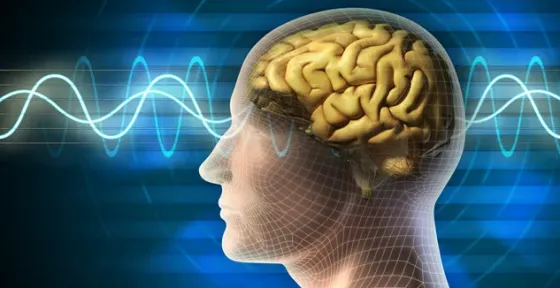 Hipnosis - Psicologia Transpersonal - Donde Estudiar Hipnosis - Hipnosis Online Mar del Plata