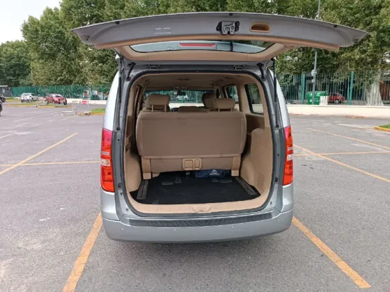 Hyundai H1 Floresta