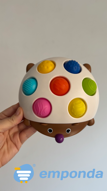 El intento de un erizo Caballito - imagen 2