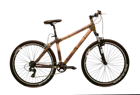 Rustyca/ Bicicletas y triciclos de caña Coghlan