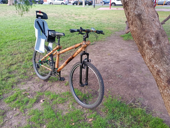 Rustyca/ Bicicletas y triciclos de caña Coghlan