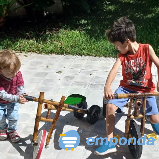 Rustyca/ Bicicletas y triciclos de caña Coghlan - imagen 9