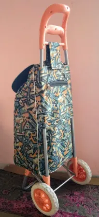 Changuito Carrito de Compras como NUEVO San Telmo