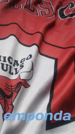 Pantalón de los bulls Santa Fe ciudad - imagen 1